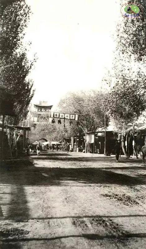 新疆，嘉宾与友朋共聚一堂