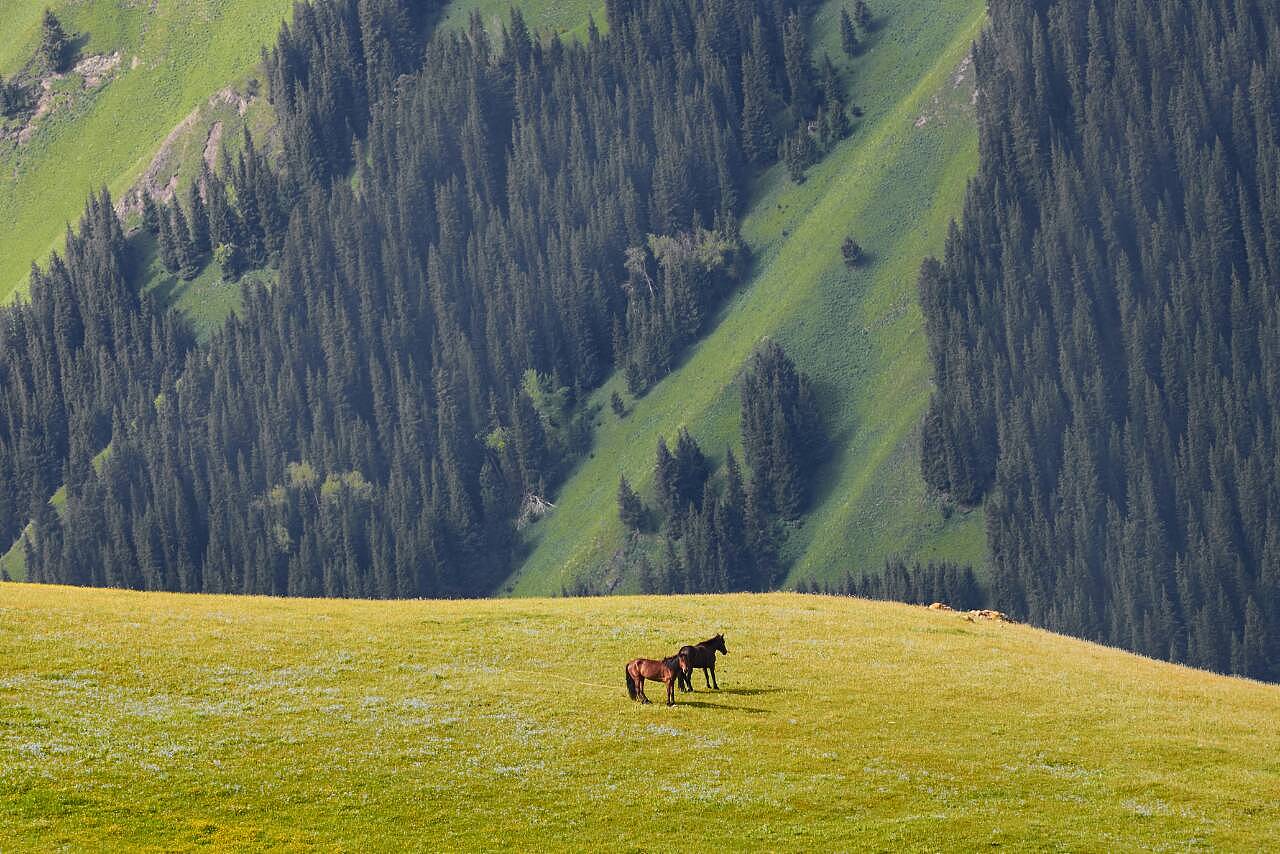 新疆阳光,温暖心房——新疆印象